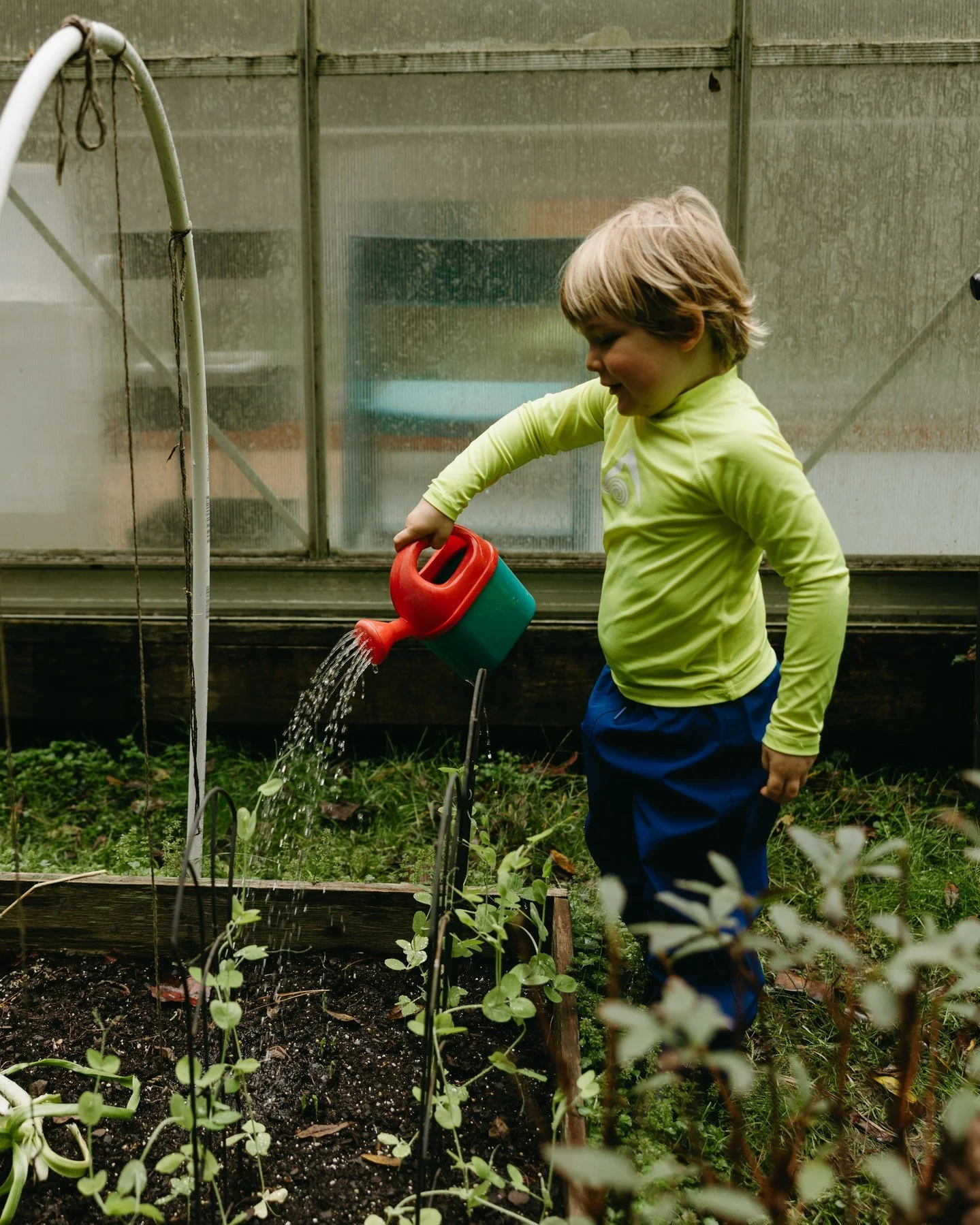 The vision behind @pisgahcollective began with two sisters and a handful of students, and has grown to serve more than 100 children annually with a teaching team of over 10 dedicated educators at their outdoor preschool where children learn year-roun