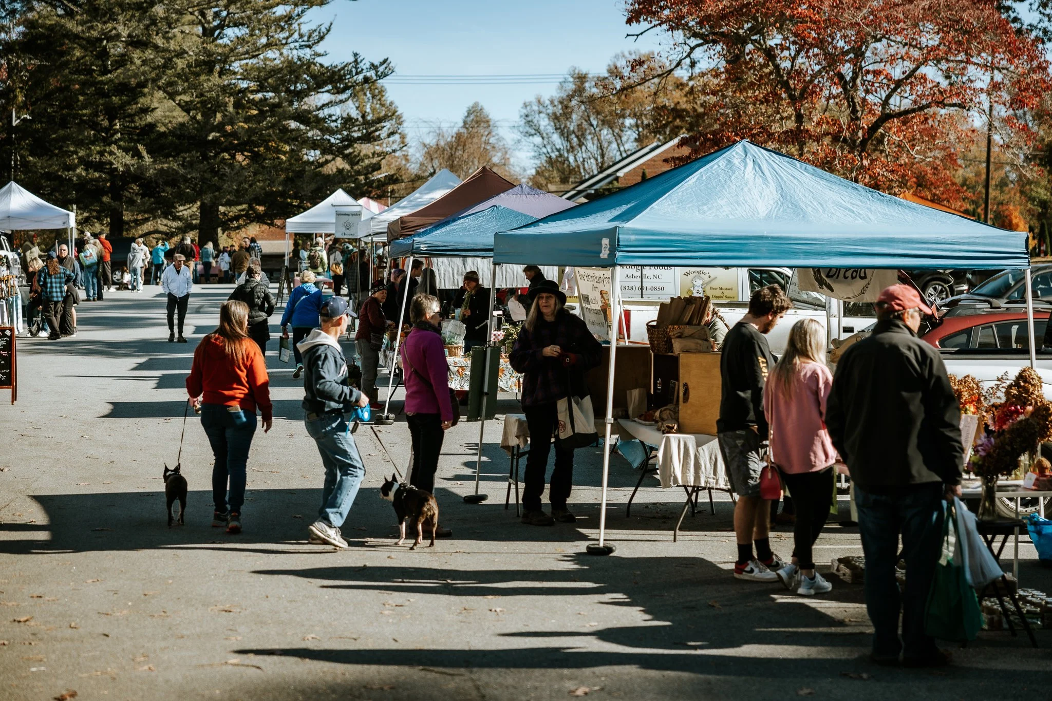 Transylvania Farmers' Market & Green Go Cleaning Co