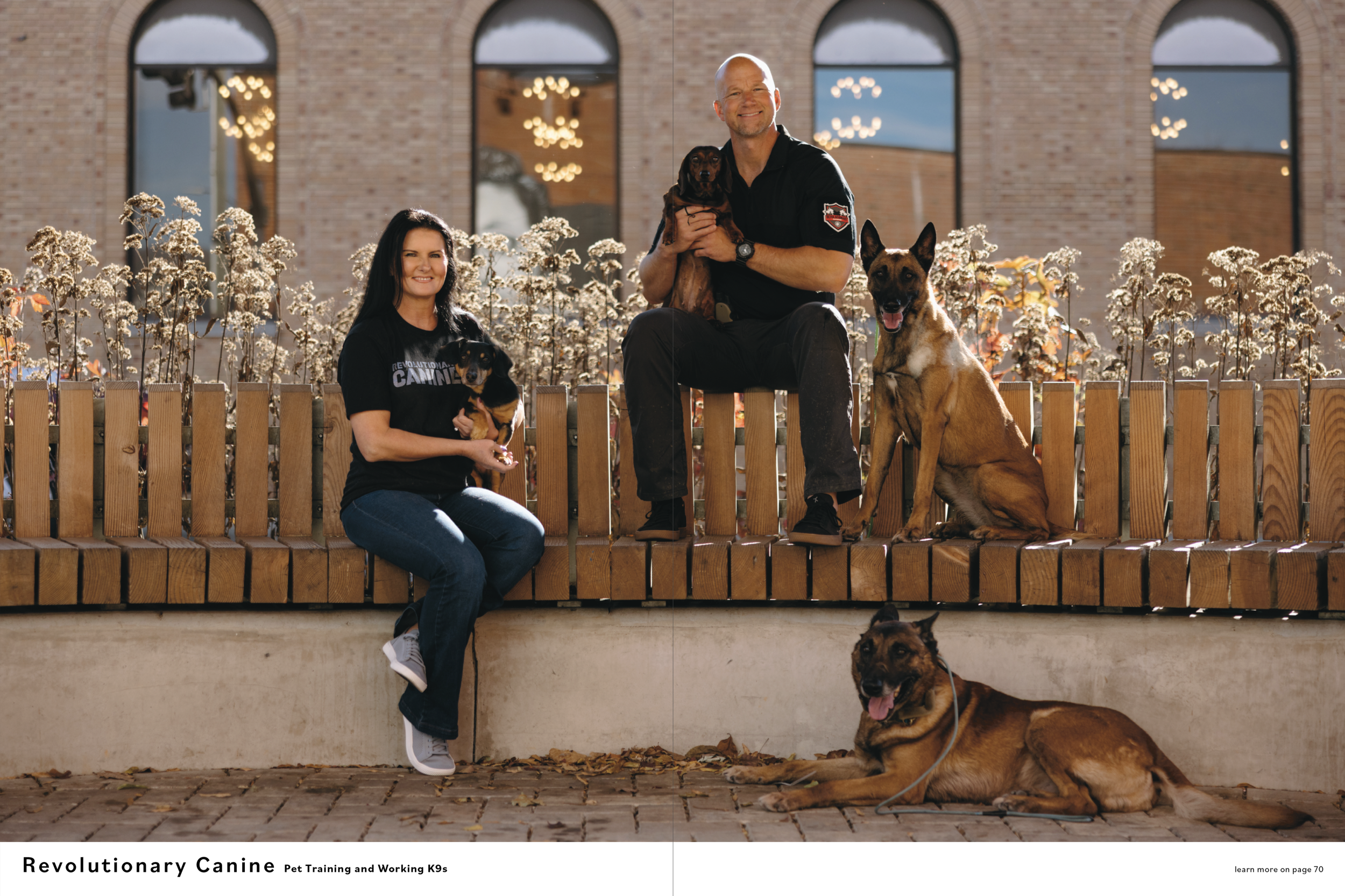 T5_Revolutionary K9.1.png