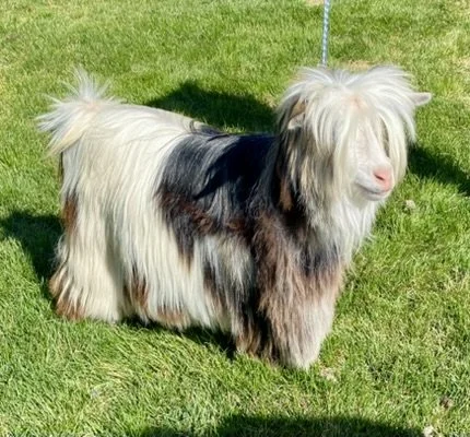 m sally (7).JPEG