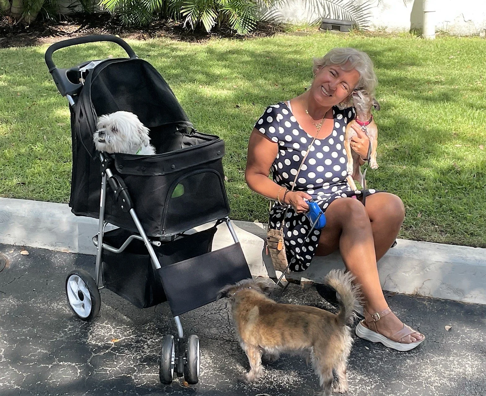 Dr Noelia Leite | Therapist | Hypnotherapist | Miami-Dade, FL