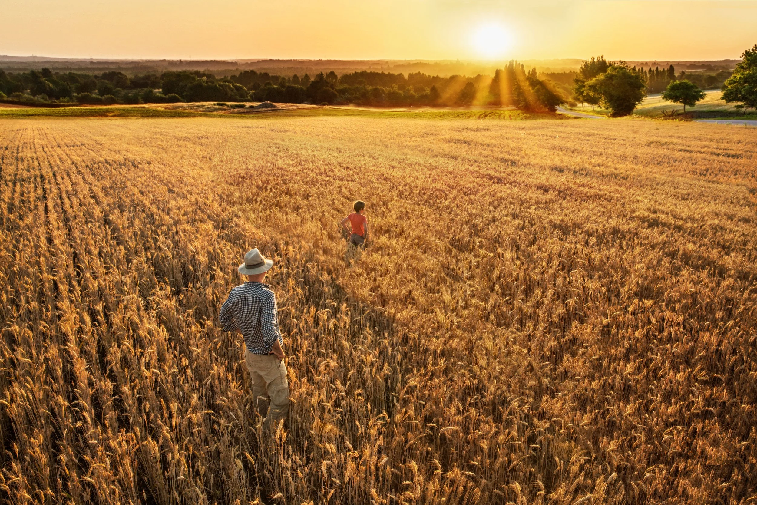 Father and son standing in a wheat field.
