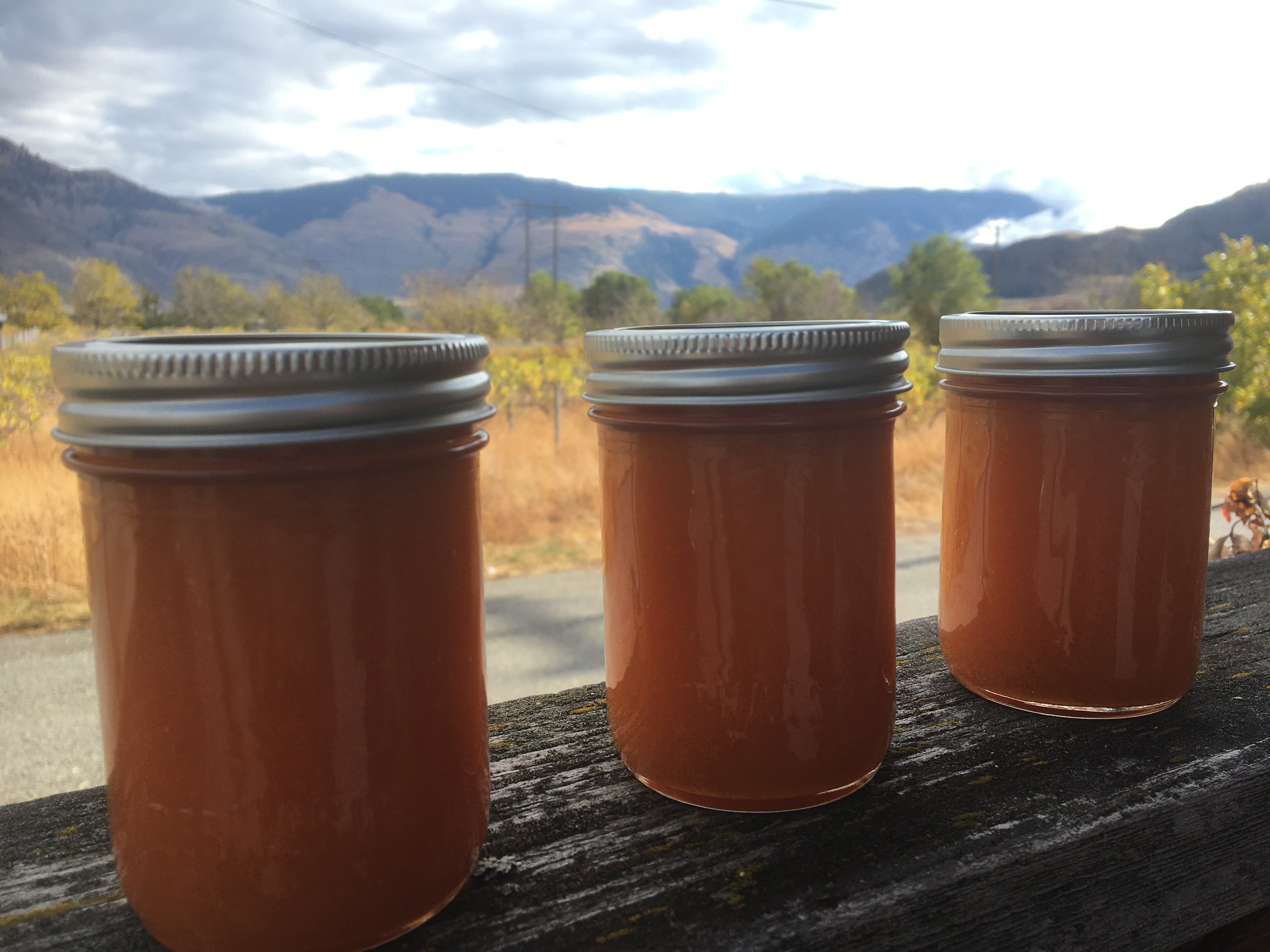 apricot jam.jpeg