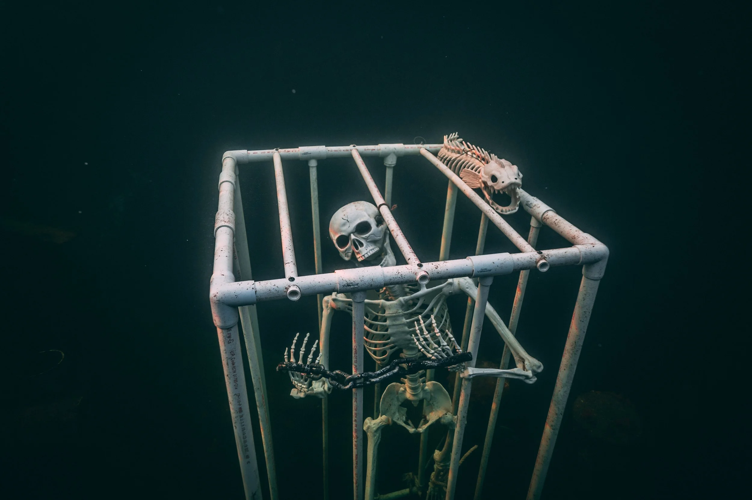 haunted lagoon, 10_28_23, underwater skeleton cage.jpg