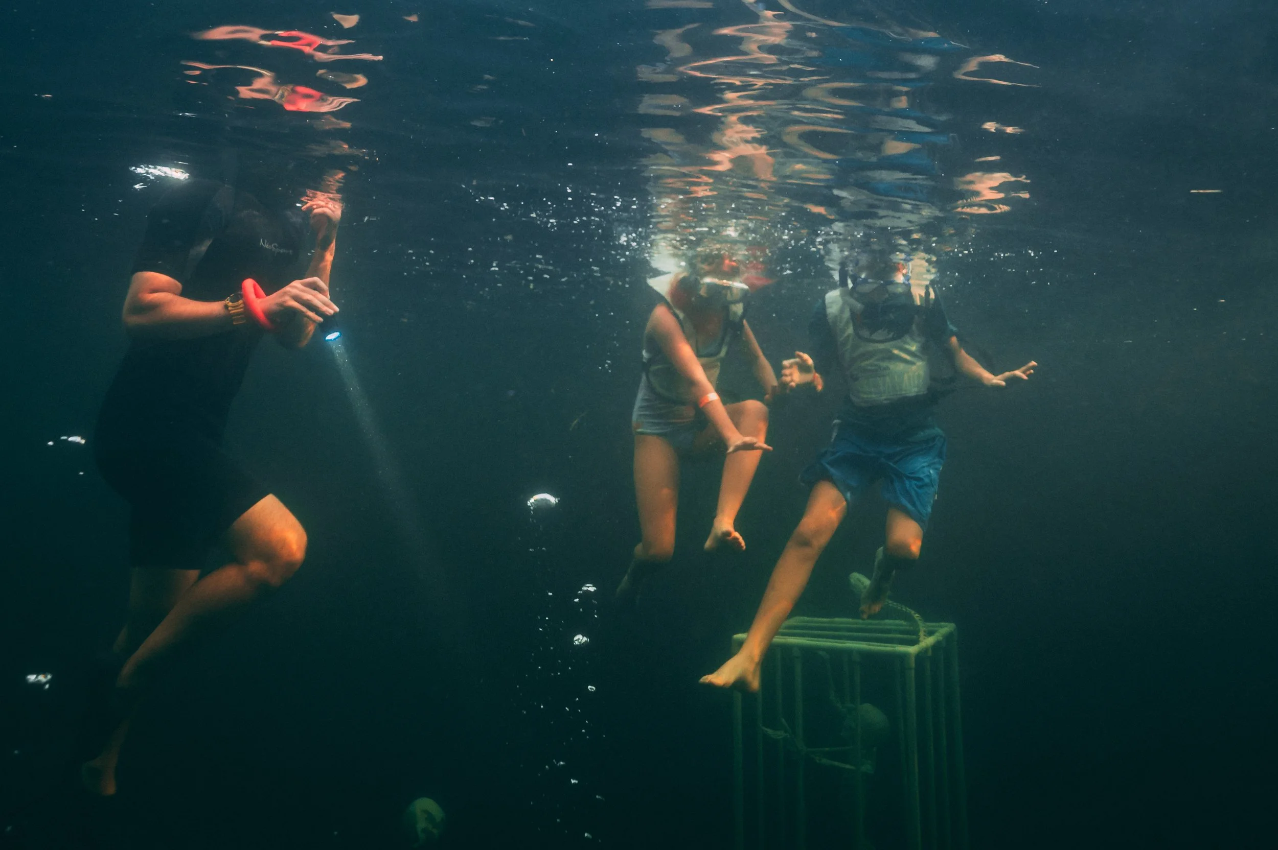 haunted lagoon, 10_28_23, snorkeler underwater.jpg
