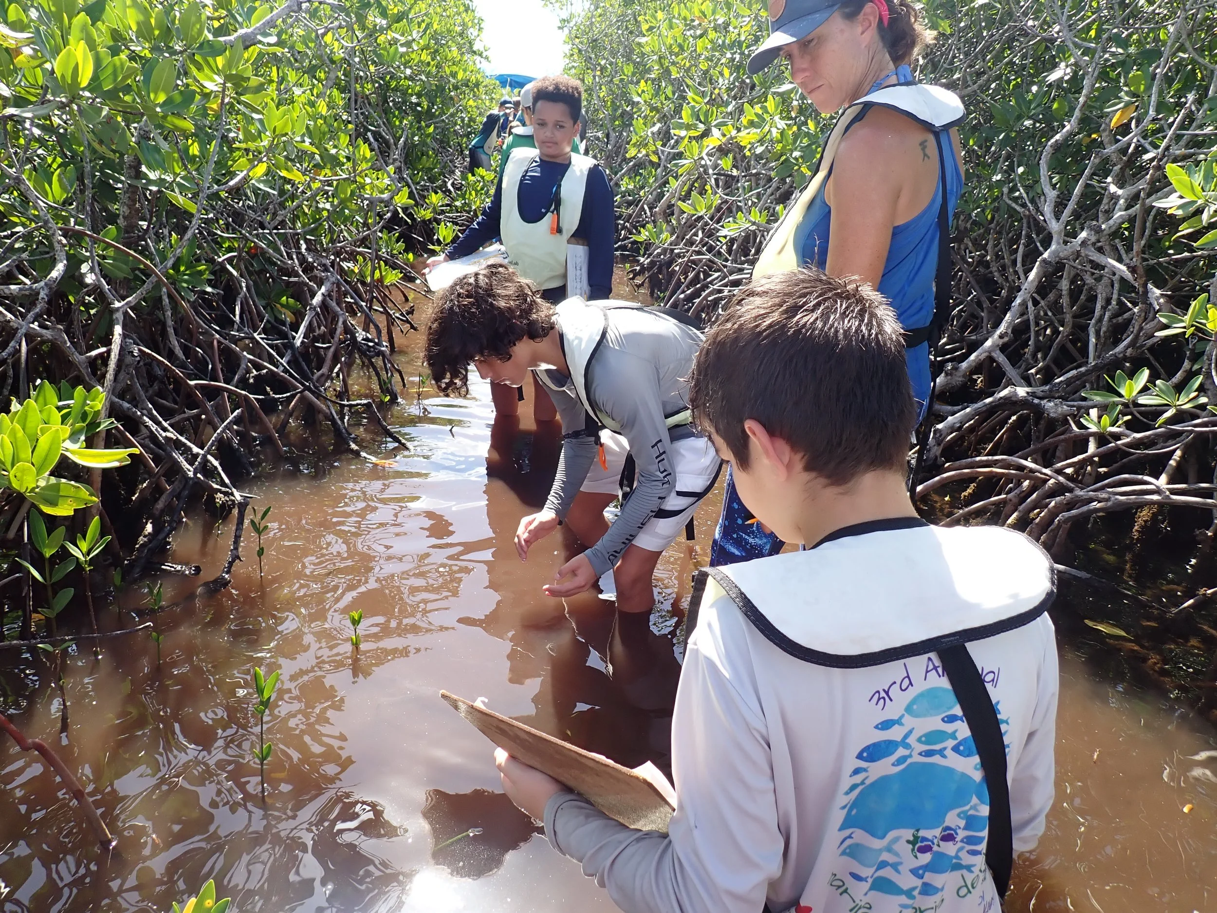 Mangrove Prop Scar Trip.JPG