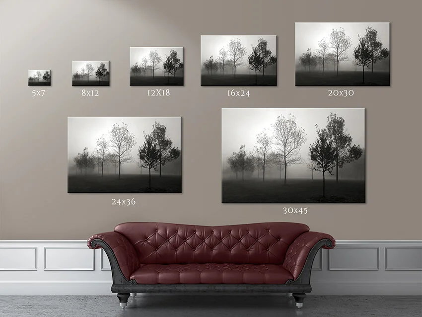Portrait Session Pricing And Packages Kevin Runge Photography Portrait Session Pricing And Packages Kevin Runge Photography