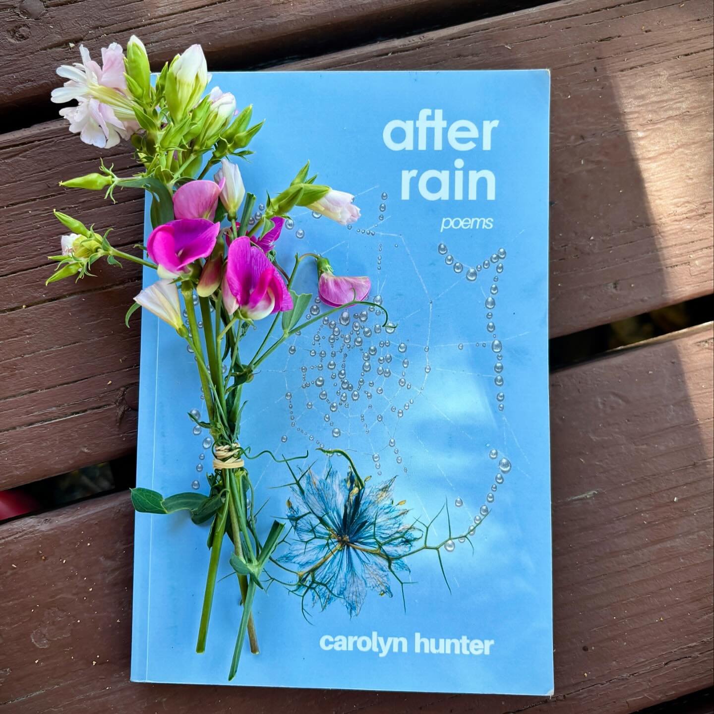 After Rain is here. 🎉 🌈 🕸️This book is a true labor of love, illustrated throughout by Jessica Bernstein @jssiegrl

A meditation on love, marriage, isolation, pregnancy, and motherhood. Portal crossings, nostalgia, memory keeping, and the stark be