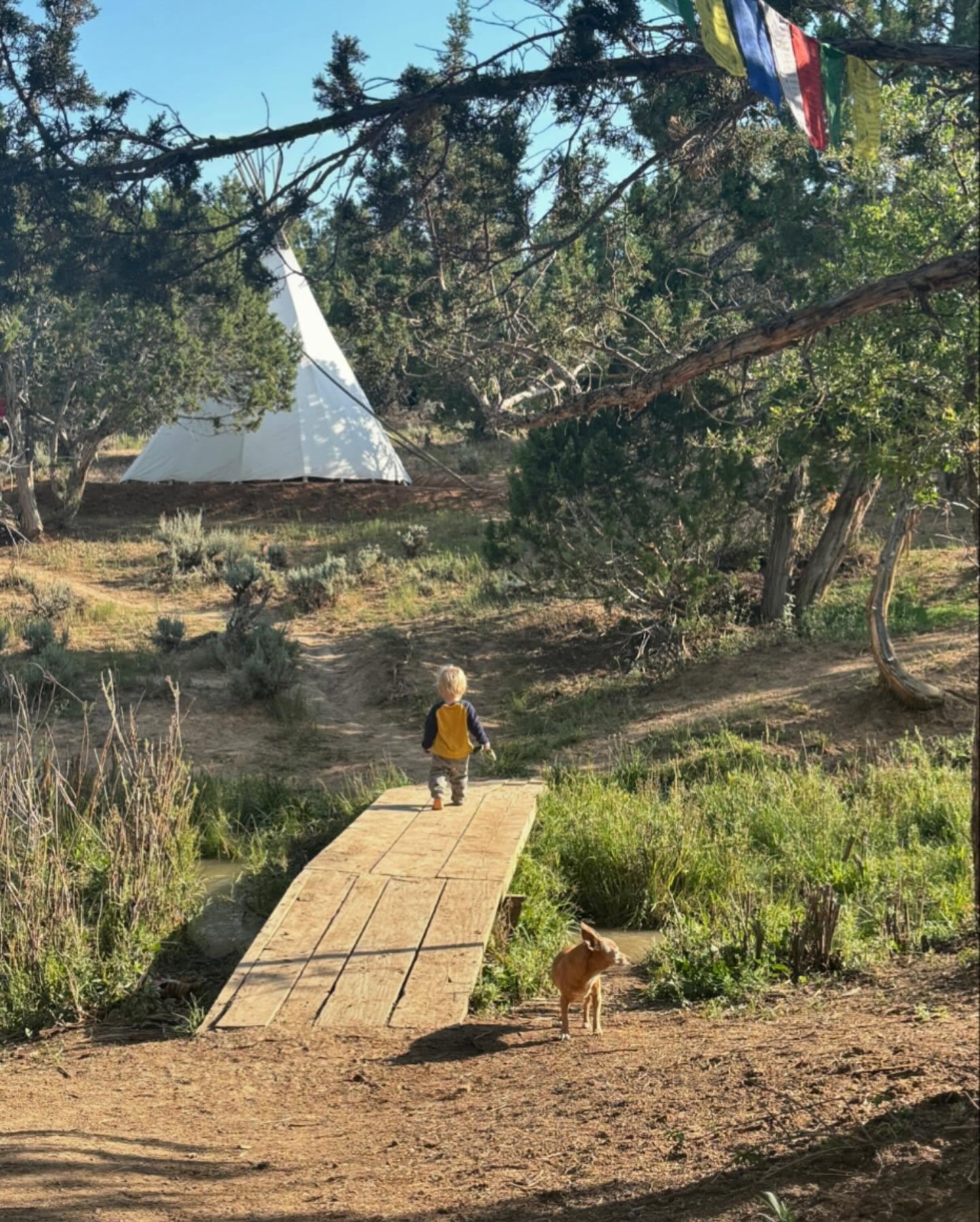 It feels difficult to post anything right now with the hurricanes that are barreling my home coast. 

But&hellip; there are helpers everywhere. Here is a special place working to slow, spread and sink rainwater and spring runoff (snow melt) through i