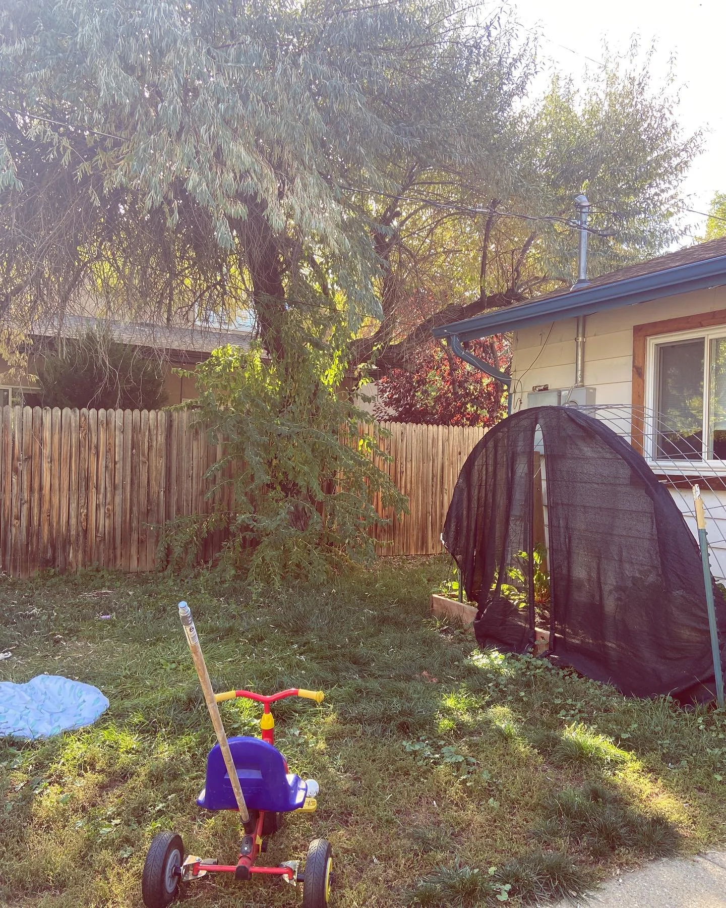 My body rises at dawn, a soft, broken, saddened thing.

A hundred unfinished poems, a lingering argument, a teething child, an aging dog.

𝘞𝘩𝘦𝘯 𝘸𝘪𝘭𝘭 𝘐 𝘴𝘭𝘦𝘦𝘱 𝘢𝘨𝘢𝘪𝘯?

I wander down the road of the mother and come to the daily c