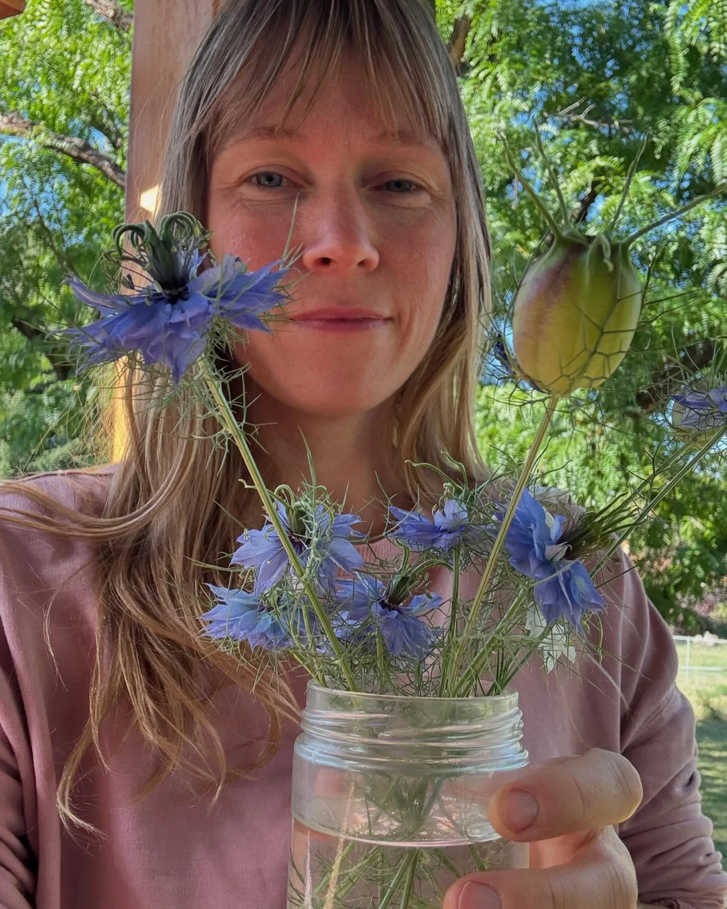 Did you know the name of this flower is &ldquo;love in a mist&rdquo;? I didn&rsquo;t. And it&rsquo;s on the cover of After Rain. @jssiegrl (the designer) and I simply liked how the flower appeared as a spider on the cobweb. We were wanting to add a w