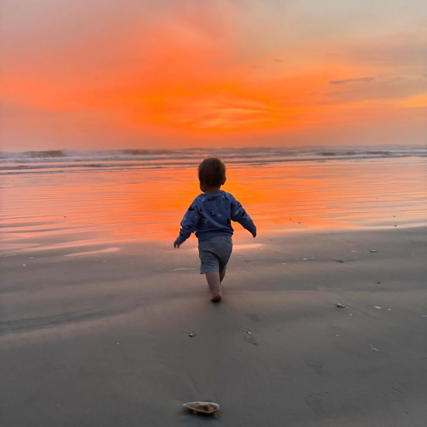 Spring Break 🌊🦀🐥 Hemingway is 16mos. He loves birds, airplanes, dogs, music, firetrucks, and giving hugs and kisses. I love being a mama. And sometimes I even get to sleep now. 😂 Miss you all!

#lovensb