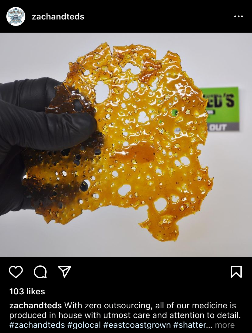 Zach & Ted's, work sample 3
