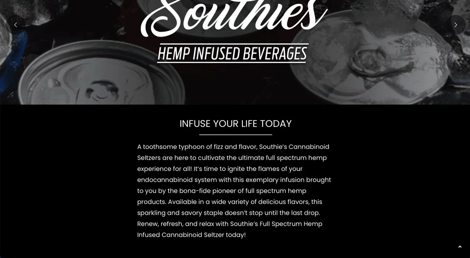Website Copy, work sample 3