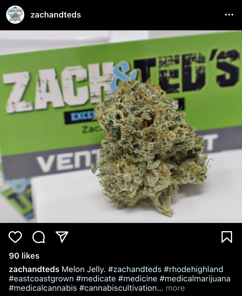 Zach & Ted's, work sample 4