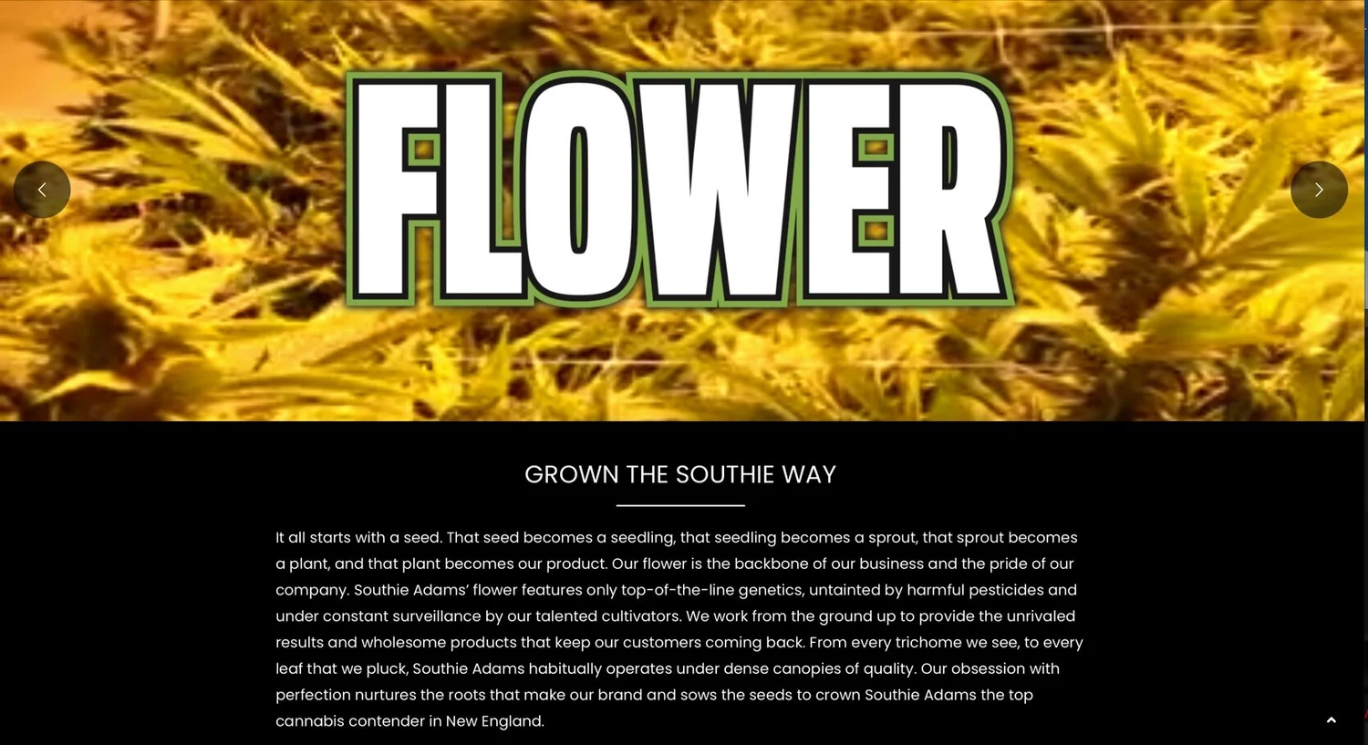 Website Copy, work sample 2