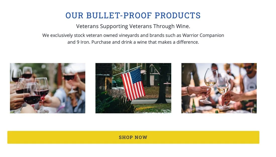 Website Copy, work sample 5