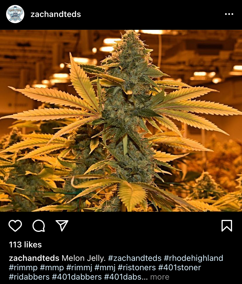 Zach & Ted's, work sample 1