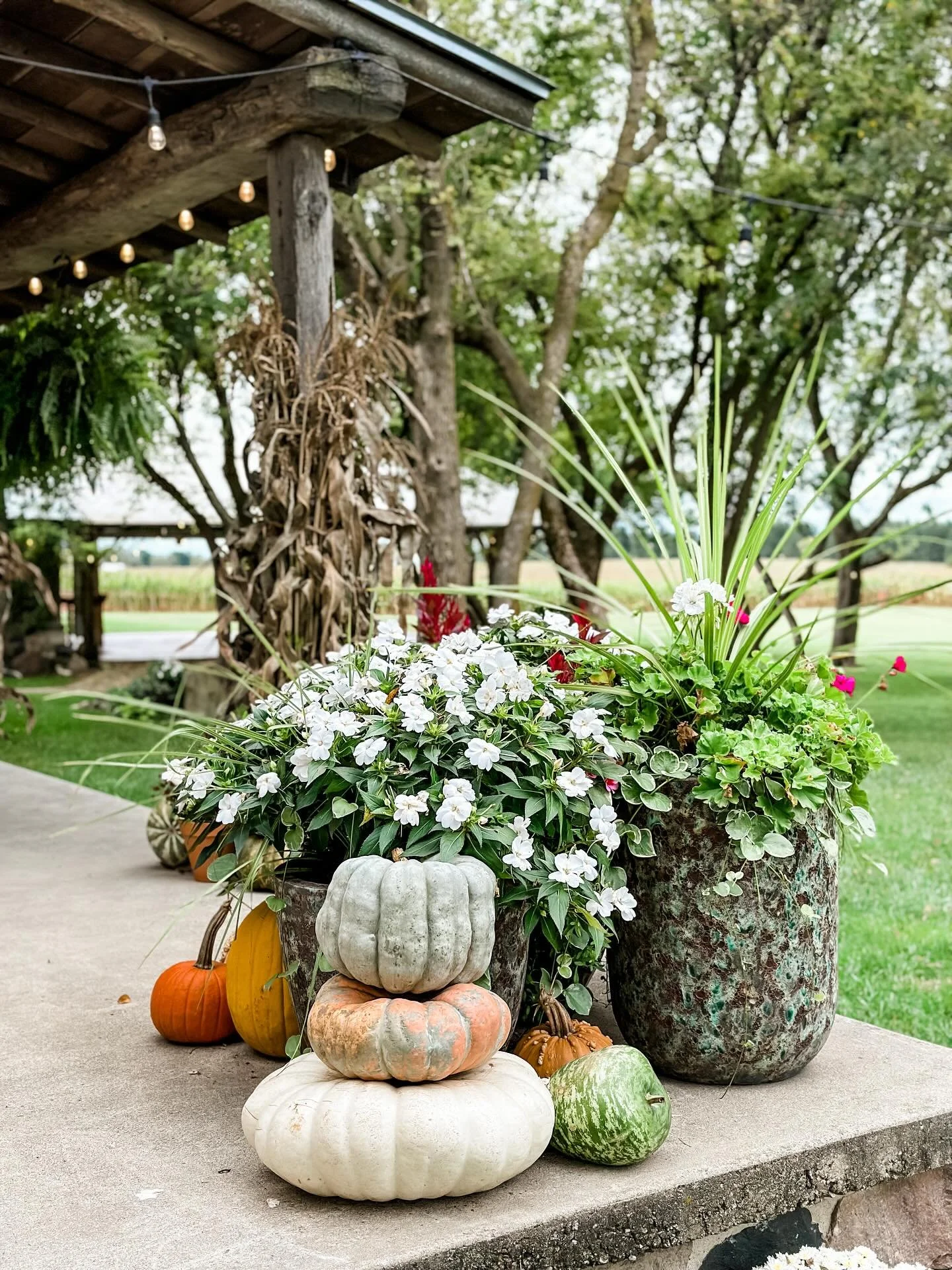 Happy Halloween from The Mill District! 🦇 🎃 🐈&zwj;⬛ 

Here&rsquo;s a little throwback to Halloween and Fall parties at TMD in years past. They&rsquo;re some of our favorite events to host! 

Have a wonderful, safe evening with your kiddos 🧡🖤