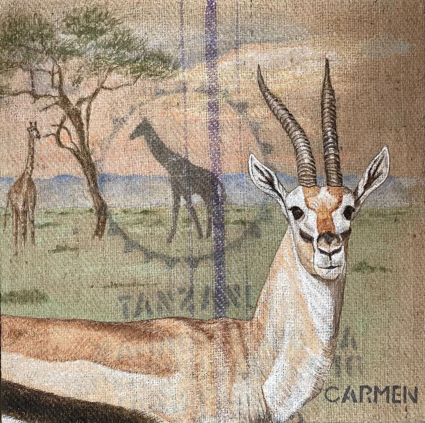 Antilope: 60 x 60 cm
@casch.art