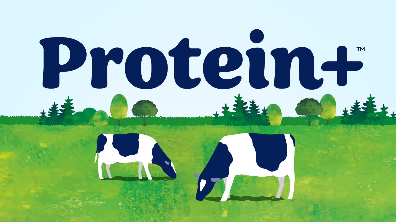 Illustration of two black and white cows grazing in a green field with trees in the background and the word 'Protein+' in large, dark blue letters above.