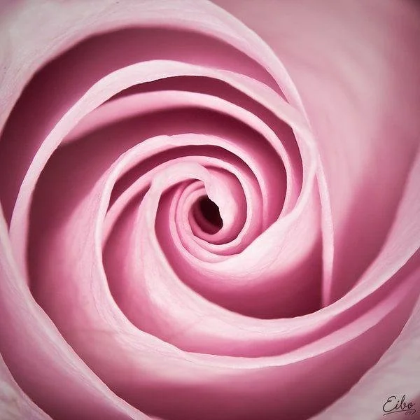 V2NA1AOvPldTWqBzEJCkUffGrjXcQ_Vju2BgRl7LxLassgcTKga83OrMIwO_XOpkOME3ZTm2rT9TNH1JVGxyD__fu61vyPYuoq05XcxAAaxco_xghevbsuDWw1LpnEQ-Dc3p75Cq2ajbeeyiy2MHJaS76mS_Z0u0HcF12zLRERY7Rs9ijOPmk1B8eLEcCpKV.jpeg