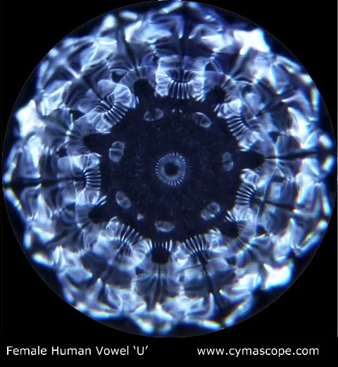 Female_Human_Vowel_U.jpg
