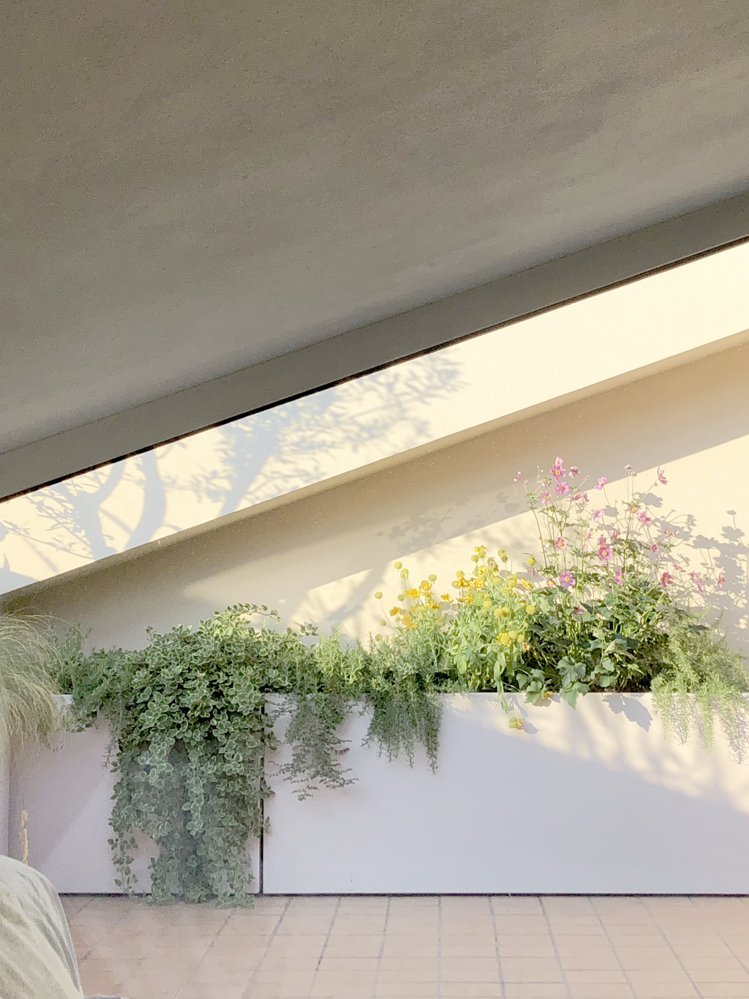 Rooftop design by Olbos Studio, Verona (Italy) 2020