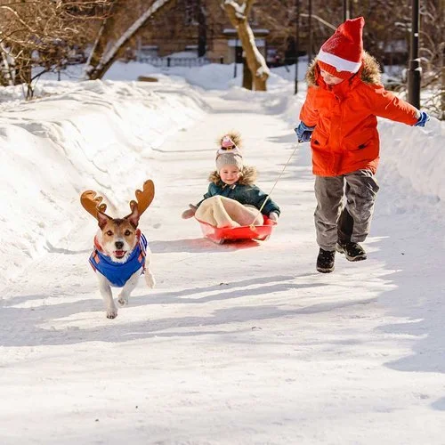 New Year Holiday Closure