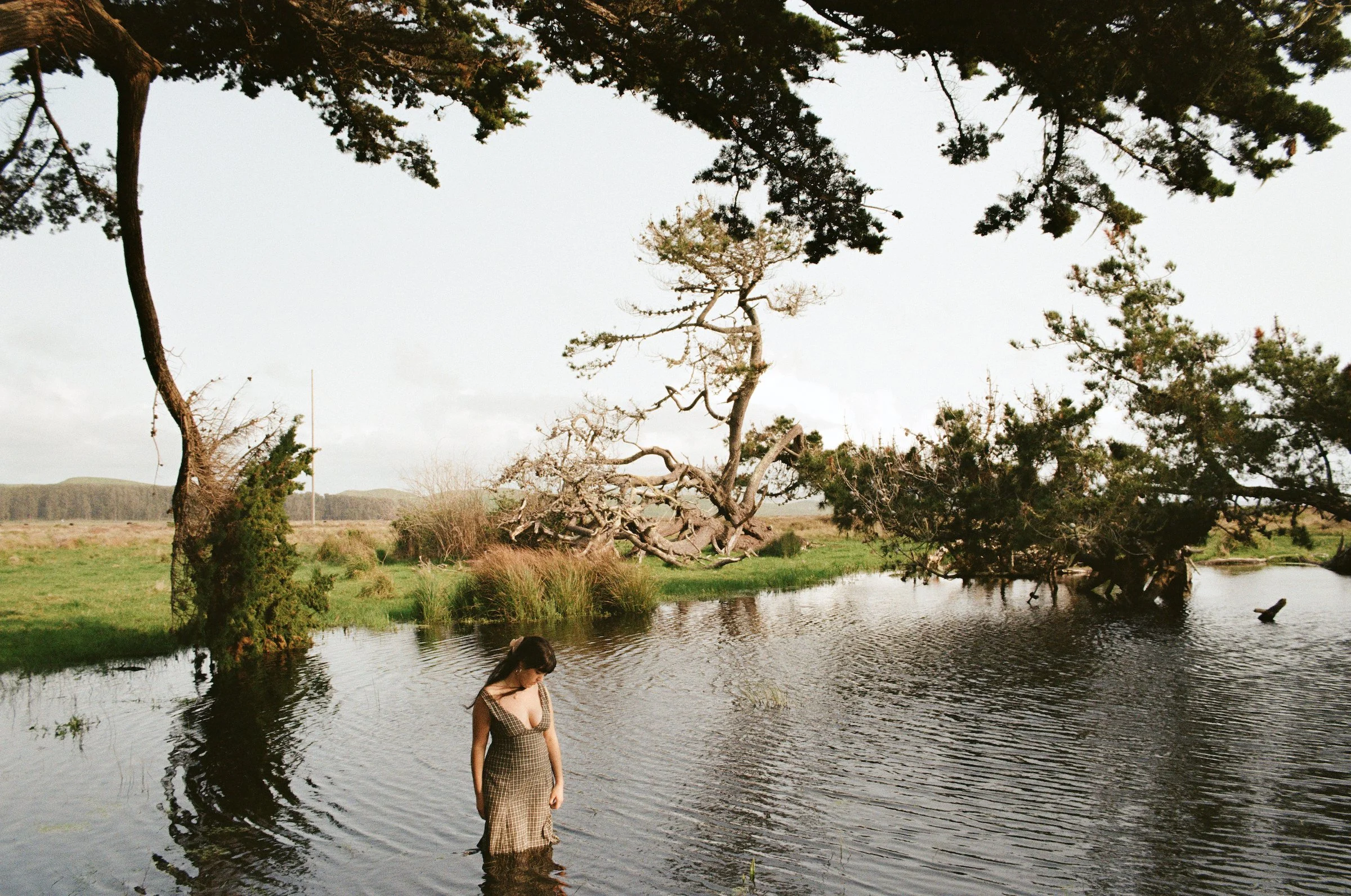 000275840010 copy.jpg