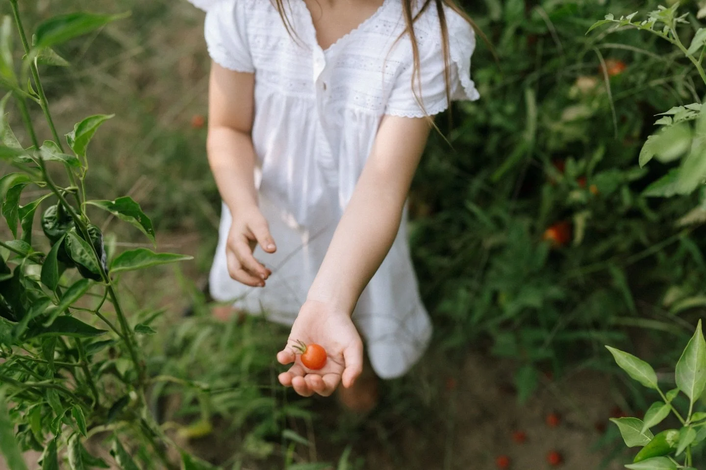 Little moments from our 2025 summer garden. There is nothing better than dirty toes &amp; a mouthful of tomatoes 🍅 

Images by @haileyreneephoto