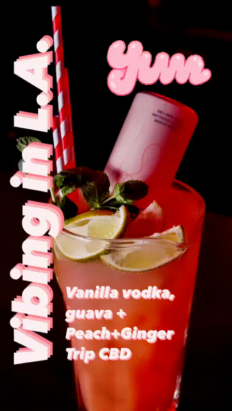 VIBING IN L.A (1).gif