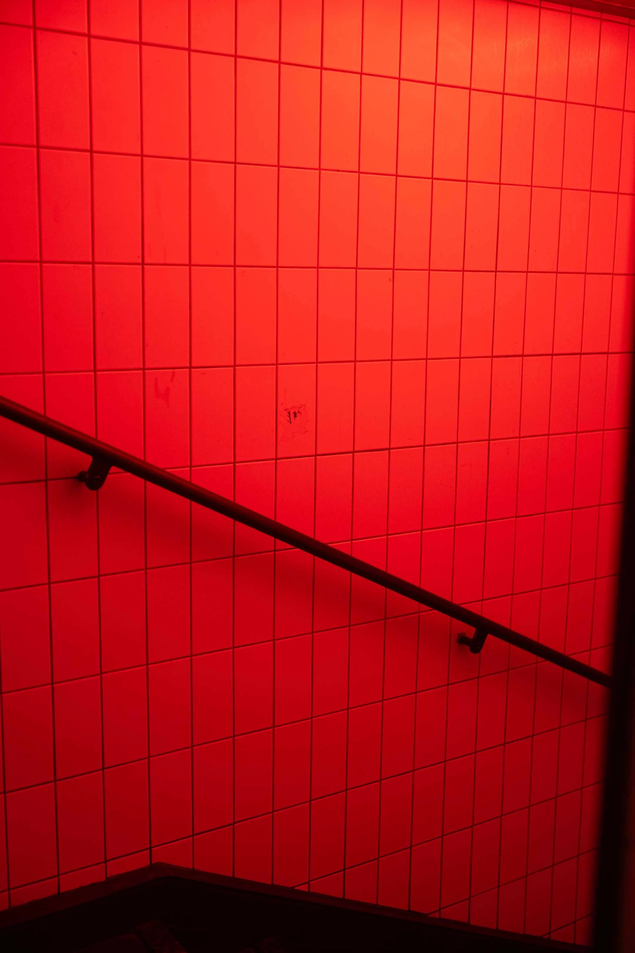 lowRes-0111.jpg