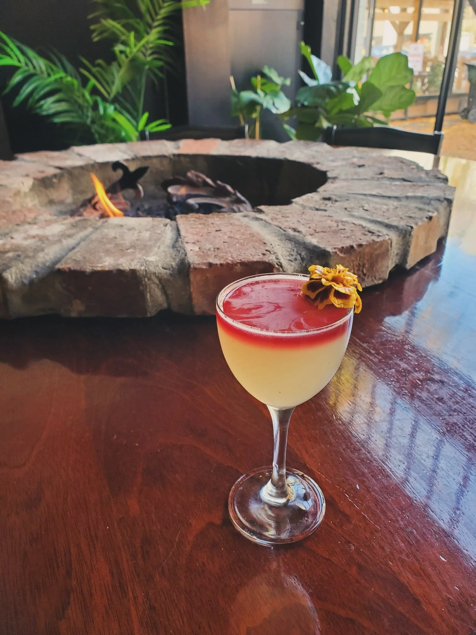 A couple new additions to the cocktail menu have landed in Ballard 🍸🌿

🌿 Uprooting
A VERY generous, savory Mediterranean riff on a New York Sour &mdash; Nord&eacute;s Gin, caraway liqueur, fresh + preserved lemon, golden beets &amp; a red wine flo