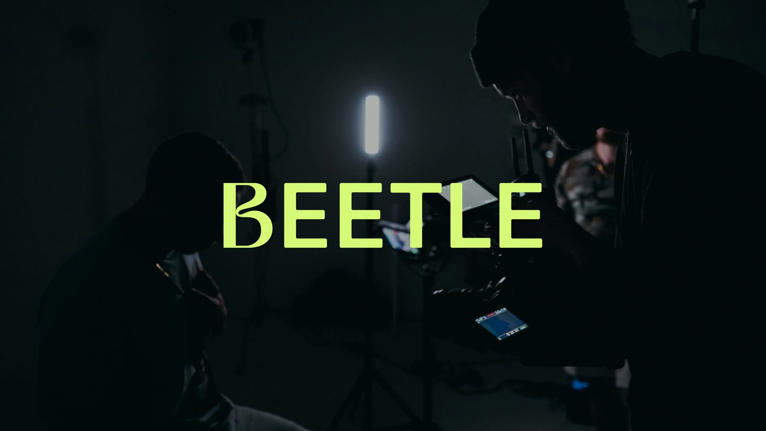 Beetle // Visual Identity