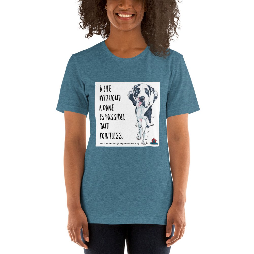 unisex-staple-t-shirt-heather-deep-teal-front-623bb7b6f344a.jpg