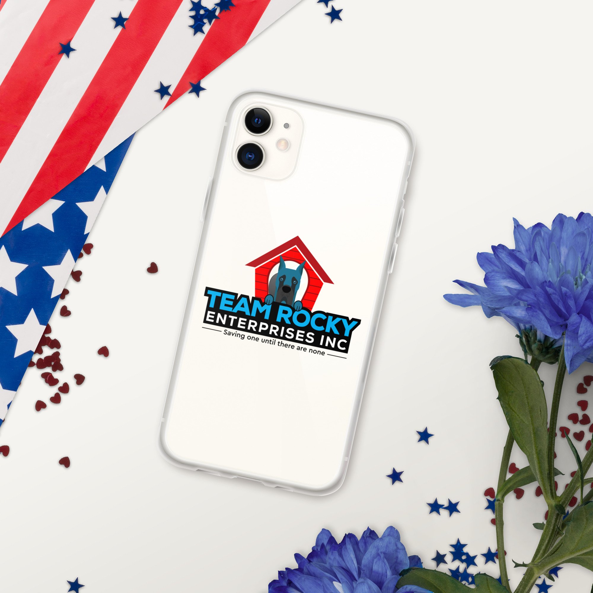 clear-case-for-iphone-iphone-11-red,-white--blue-66e472f44fd03.jpg