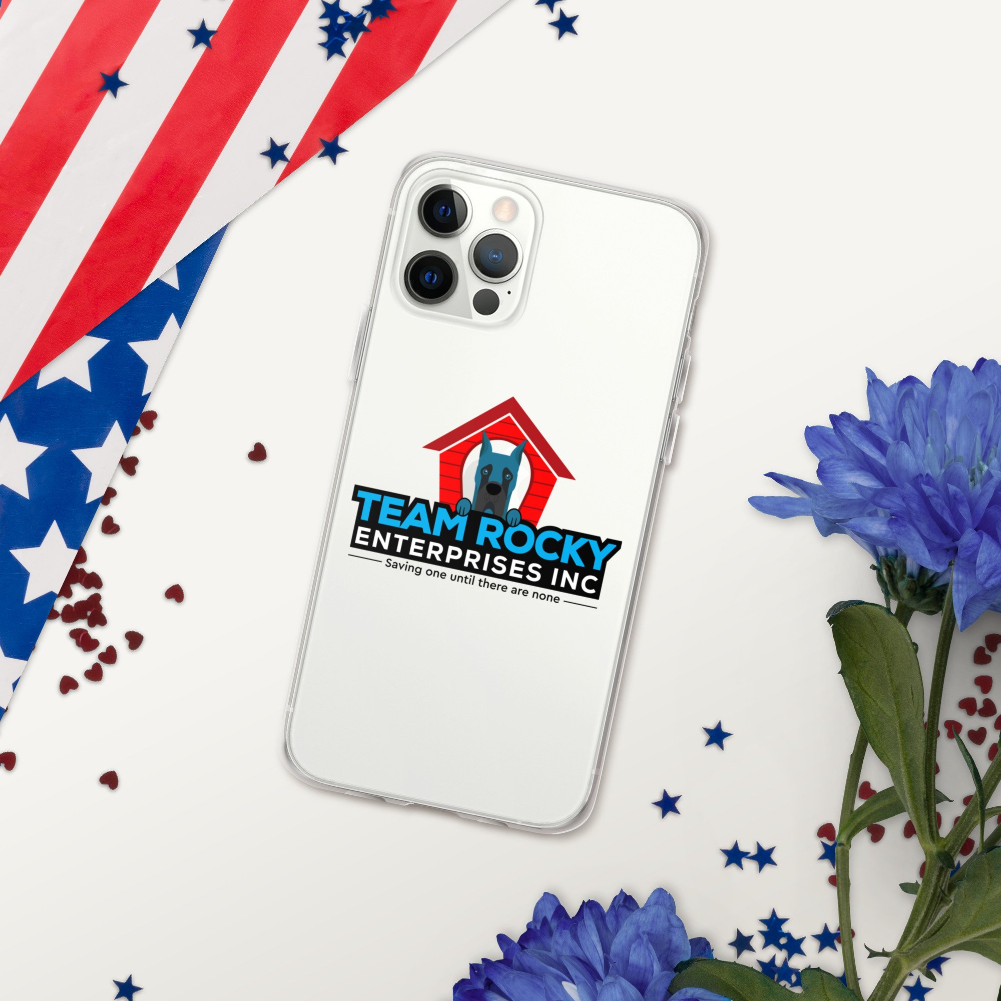 clear-case-for-iphone-iphone-12-pro-red,-white--blue-66e472f44ffd4.jpg