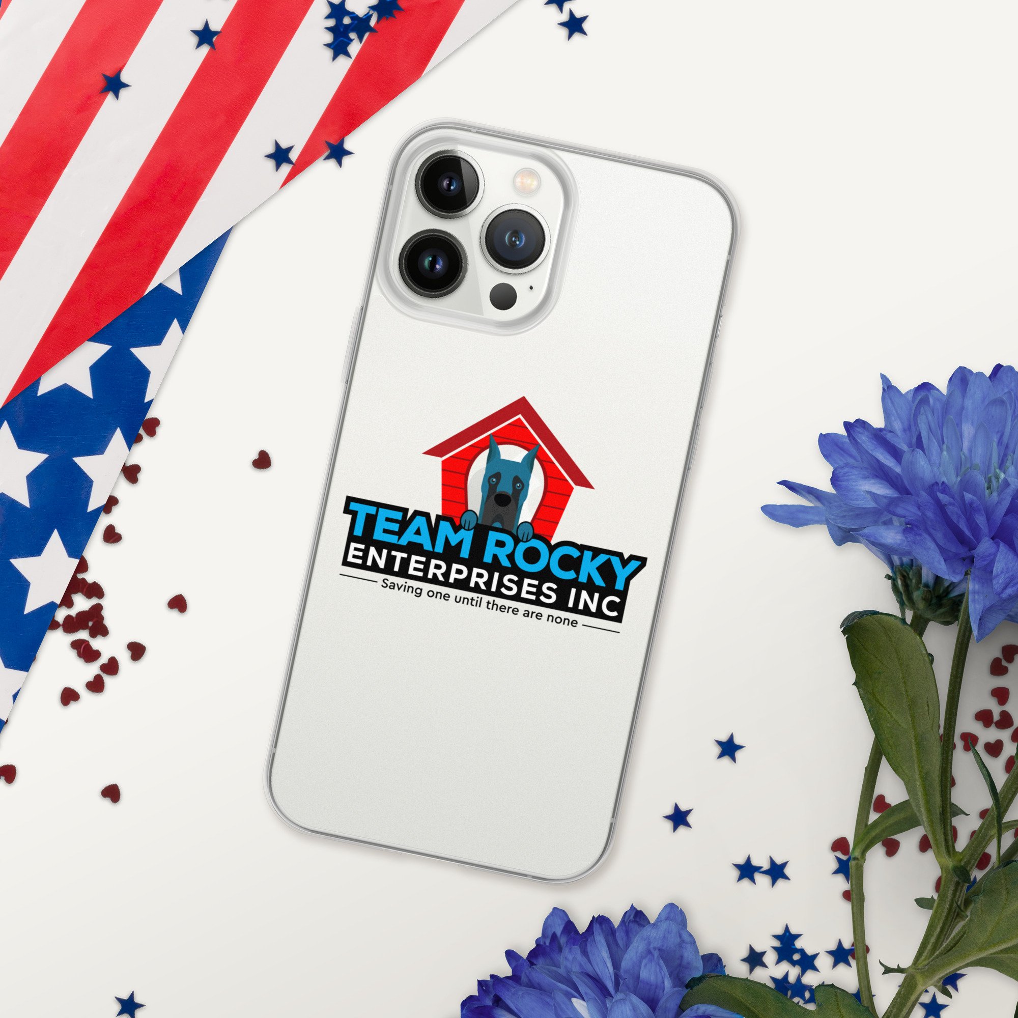 clear-case-for-iphone-iphone-13-pro-max-red,-white--blue-66e472f450229.jpg