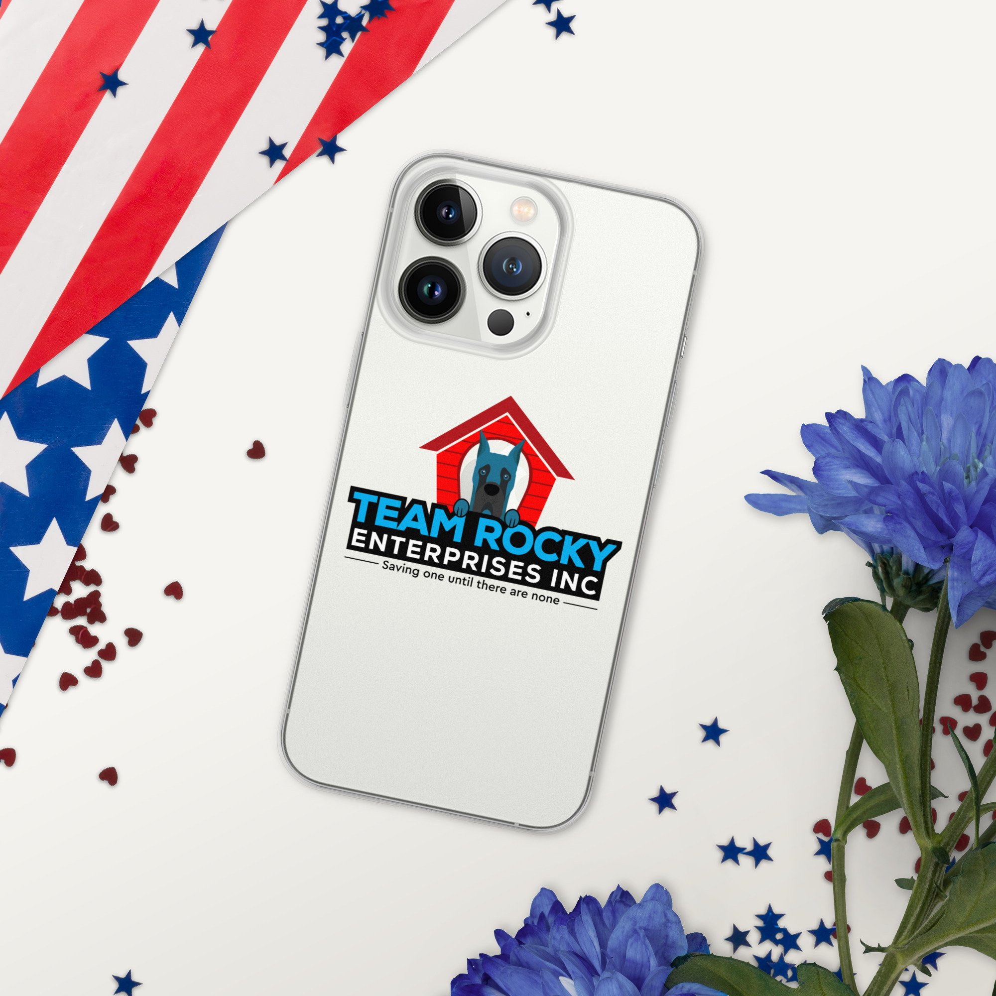 clear-case-for-iphone-iphone-13-pro-red,-white--blue-66e472f45032c.jpg