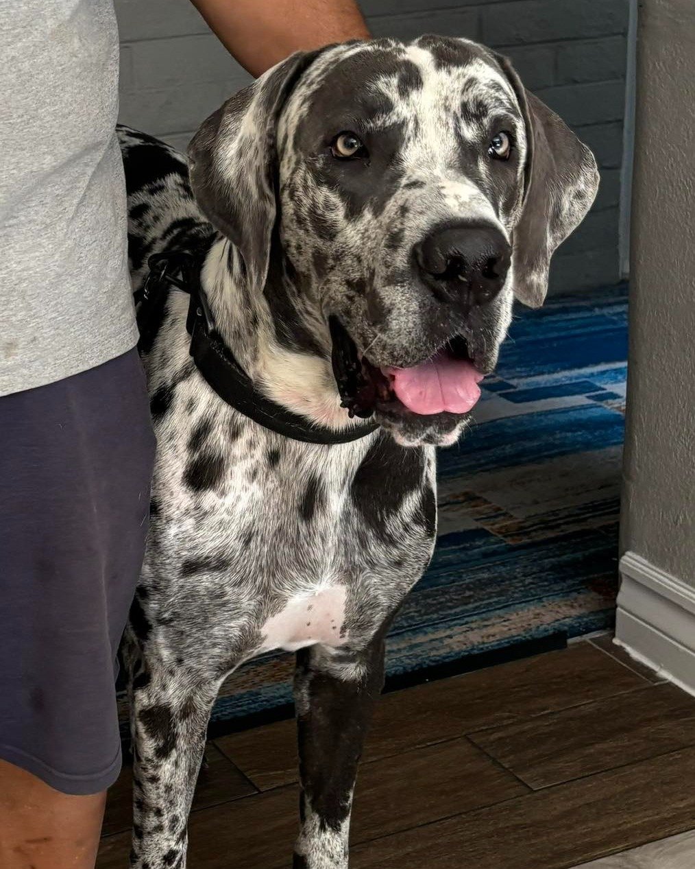 LORENZO