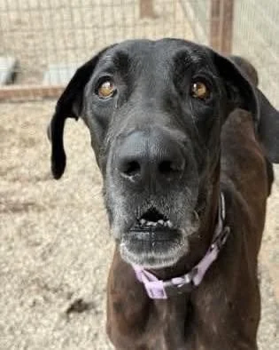 724437075_1463260675842421_5382351657301033120_n.jpg