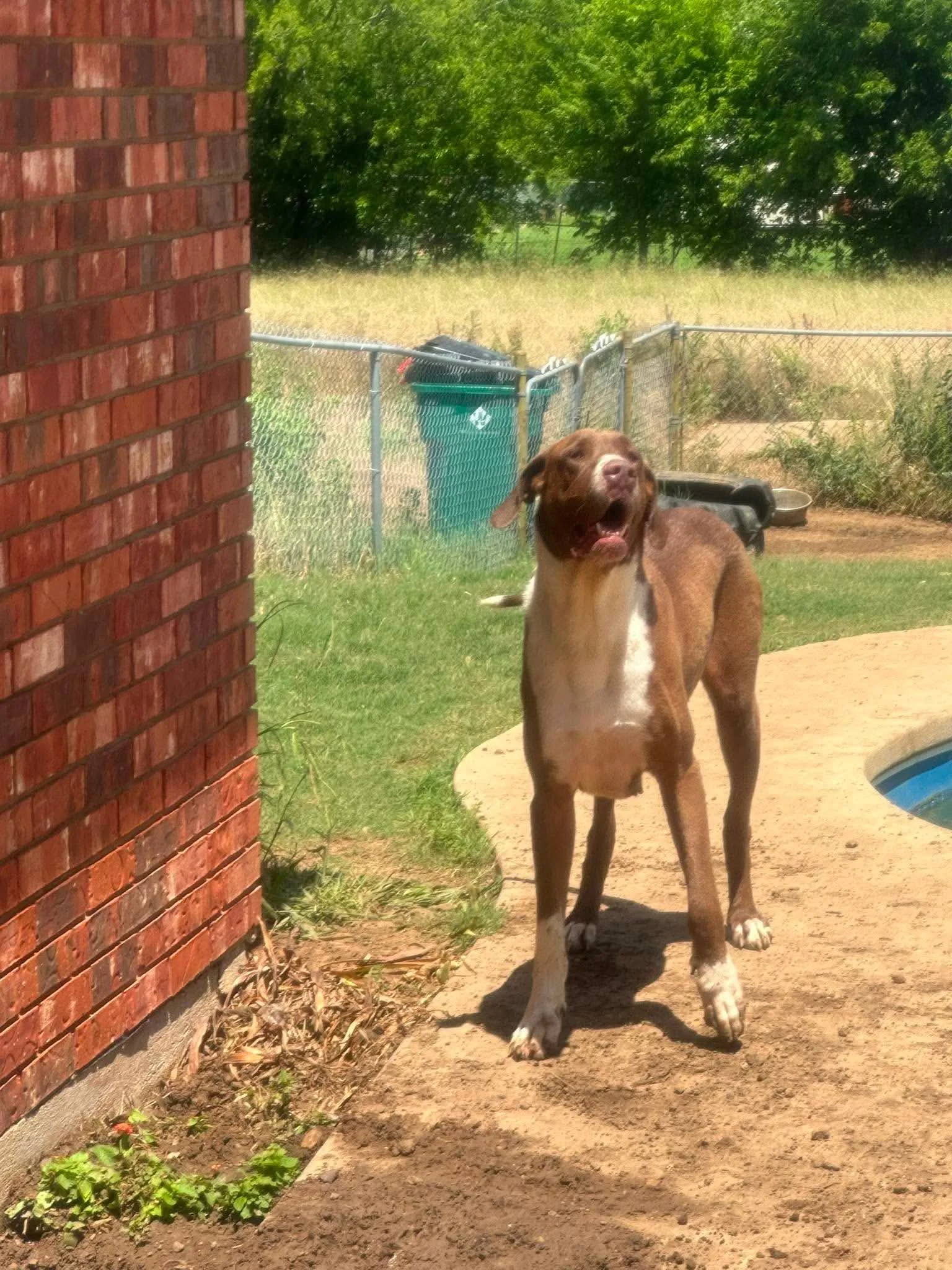 ad65a858e264d269d042f461c820928c.JPEG