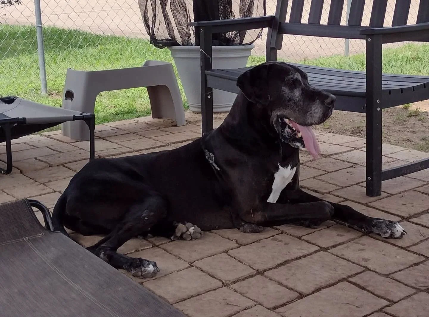 732125838_923122577459038_8656262925176301013_n.png.jpeg