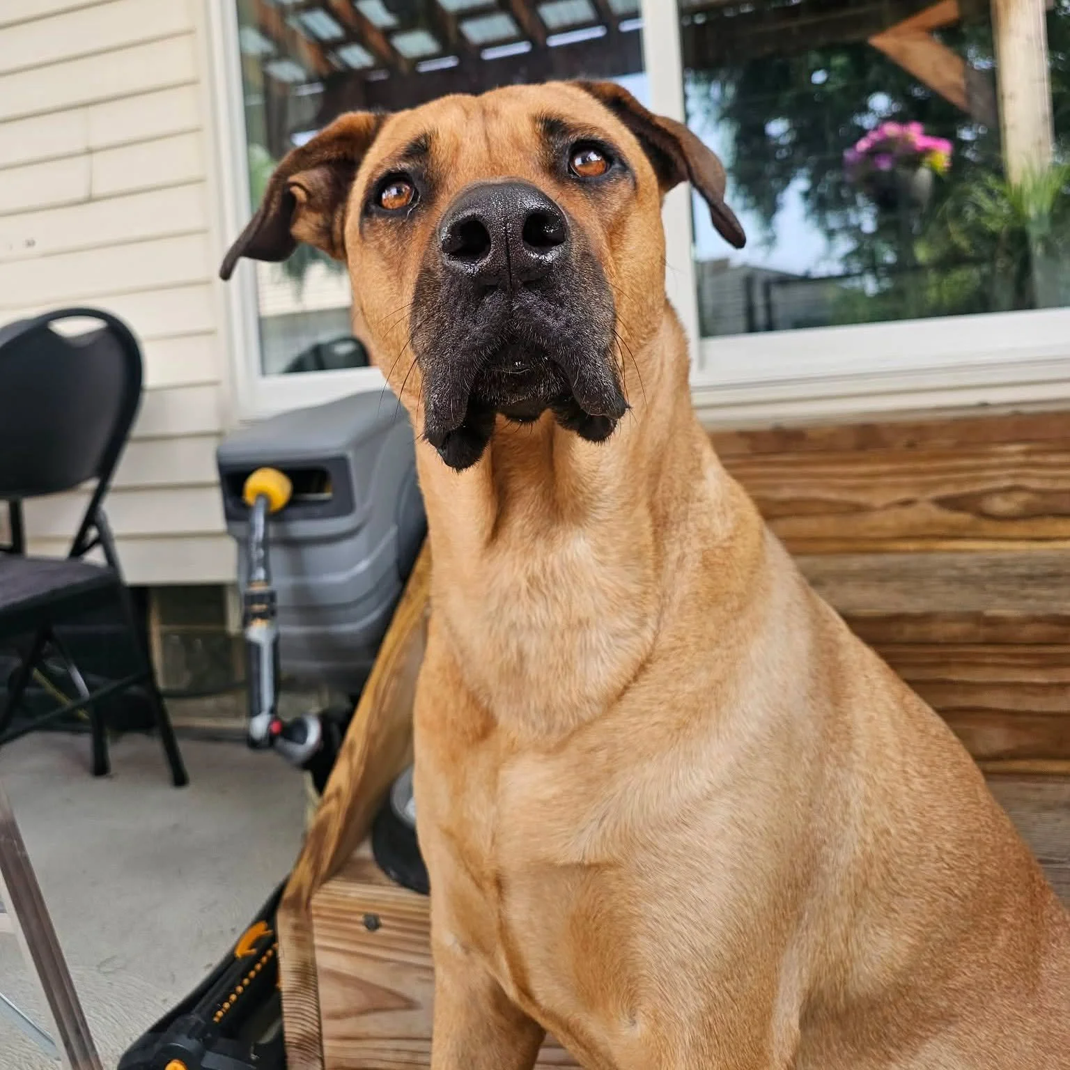 NUTMEG