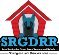 Team Rocky Enterprises Inc