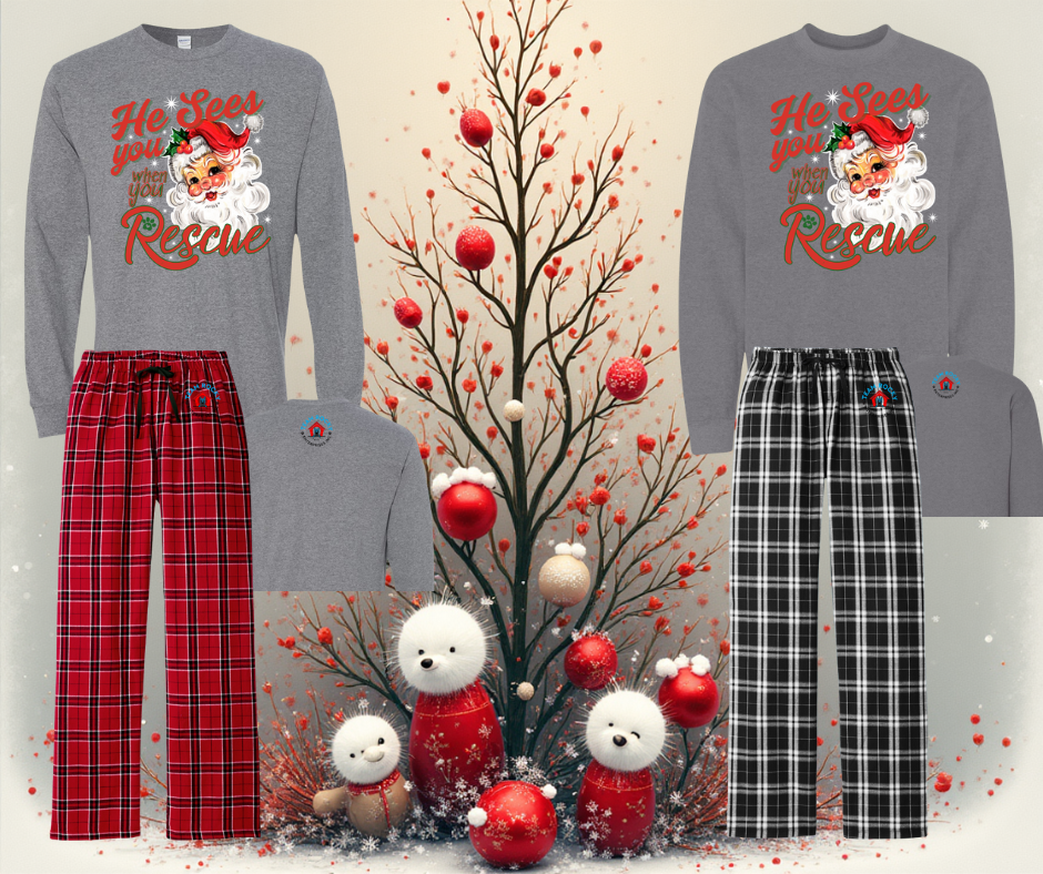 Untitled design (2).png