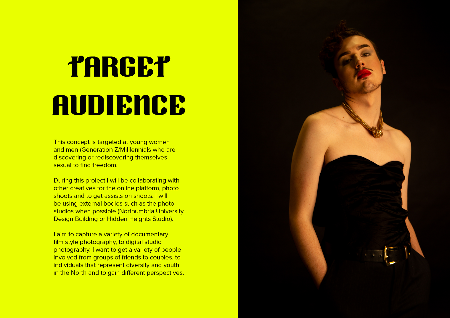 concept cube Target Audience updated.png
