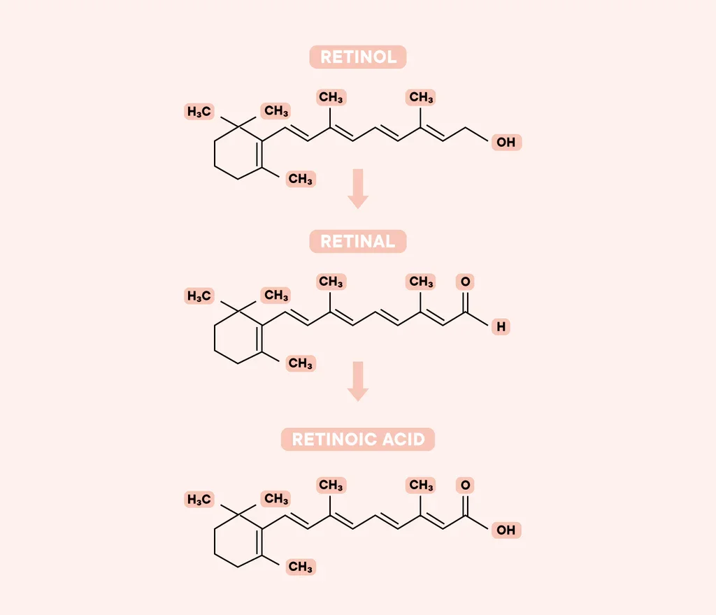 Understanding Retinoids