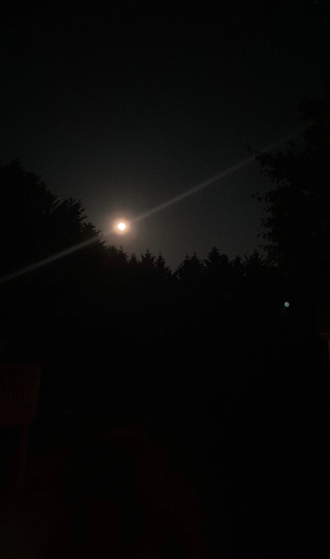Moonshadow 
